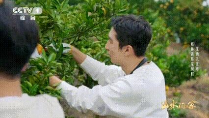 武大靖干农活也是奥运速度大眼杯表彰小会 谁看了不说一句优秀的人在哪都发光，武大靖