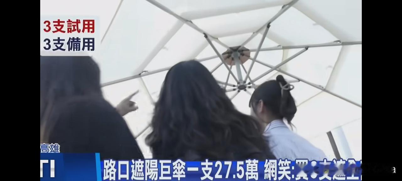 台湾绿蛙气温太高跑去韩国买遮阳伞27.5万(5.7万人民币)。安装在路口给过往行