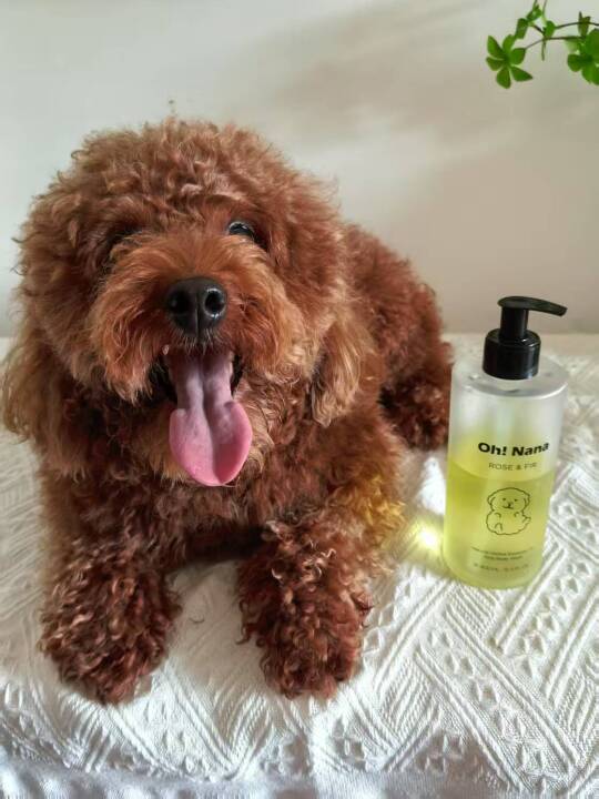 我家狗子超爱的沐浴露！洗完毛毛也太软了