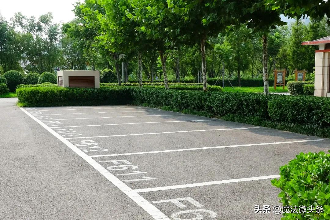 “买个包子2块，停车10块”，该给停车费“降降火”了如今，在城市生活中，停车费过