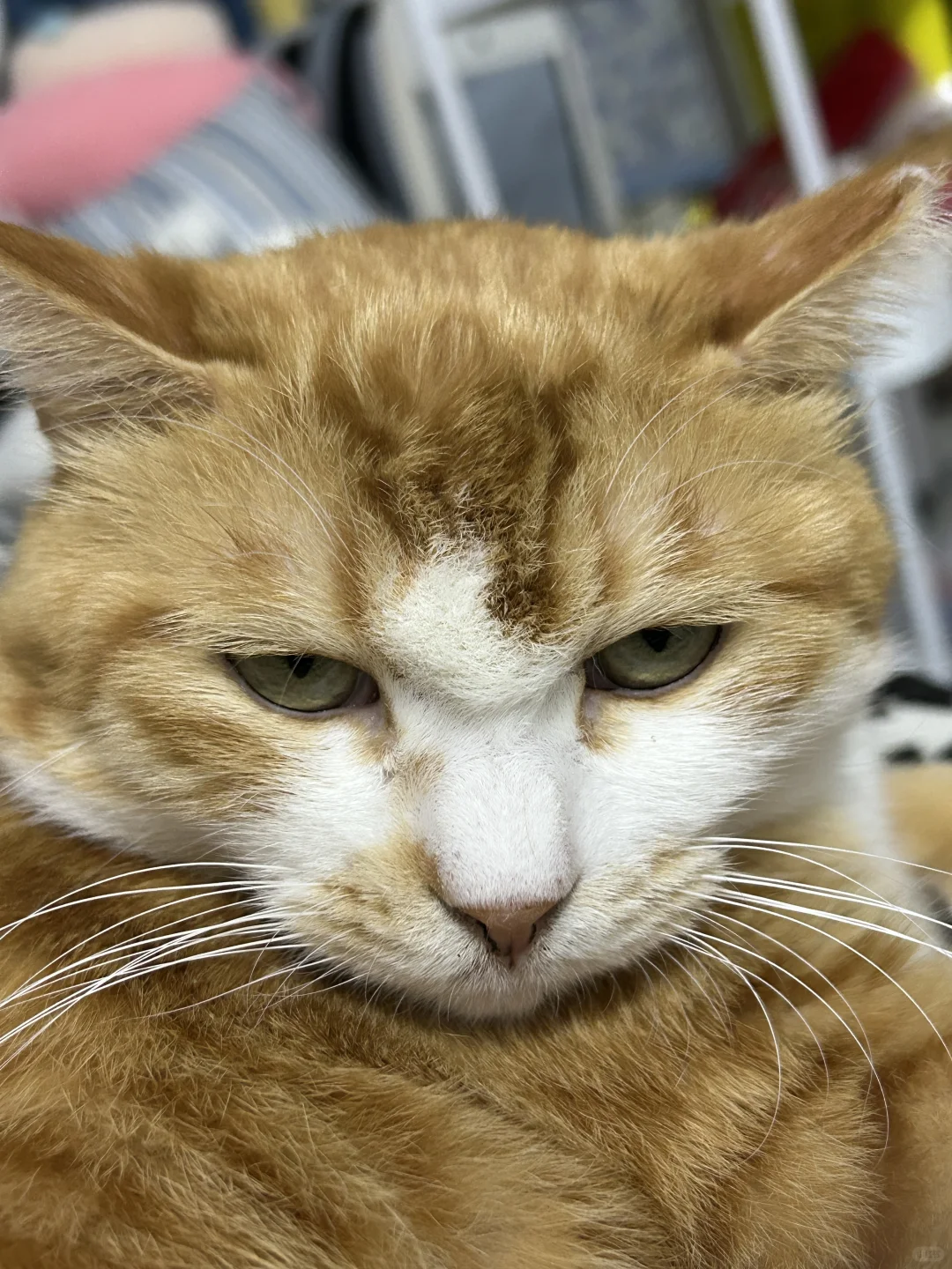 生气了，很难哄的那种😡