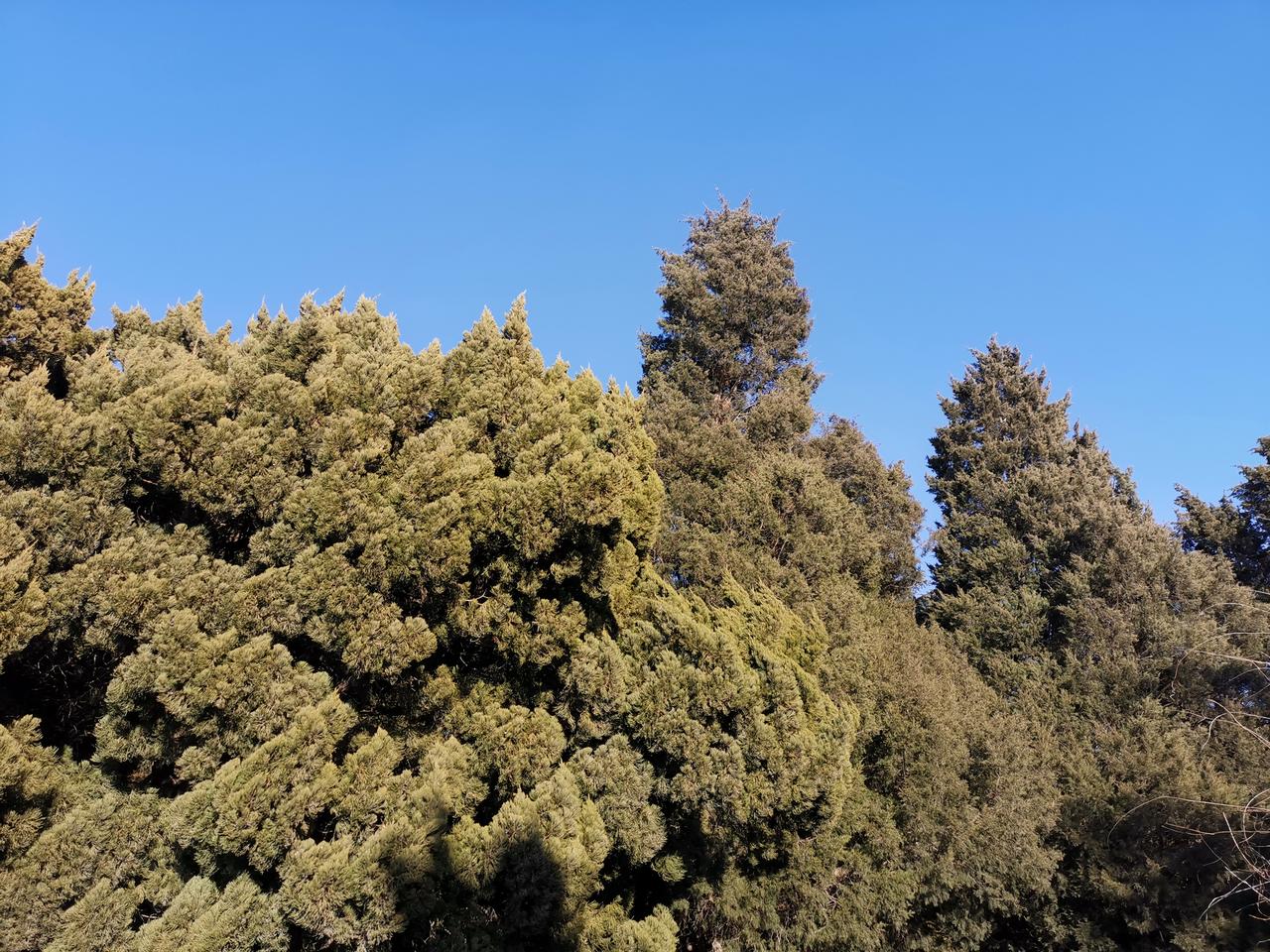 旅行随手拍漫步旅顺太阳沟