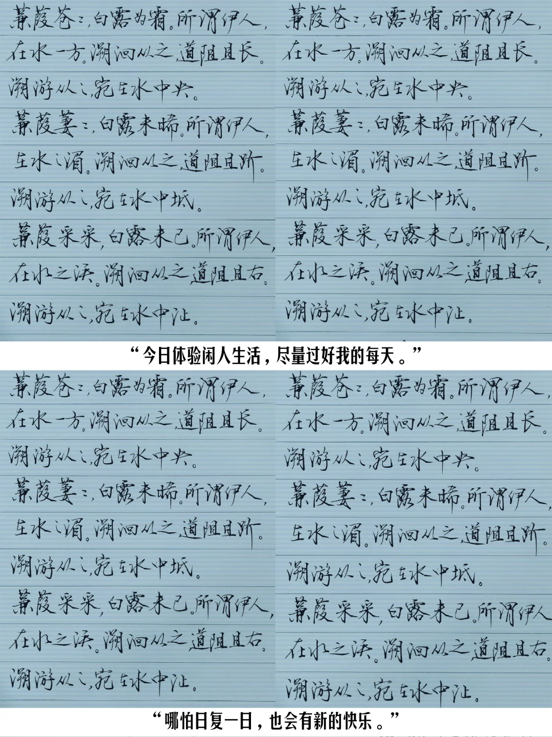 每日一诗，持续更新中……