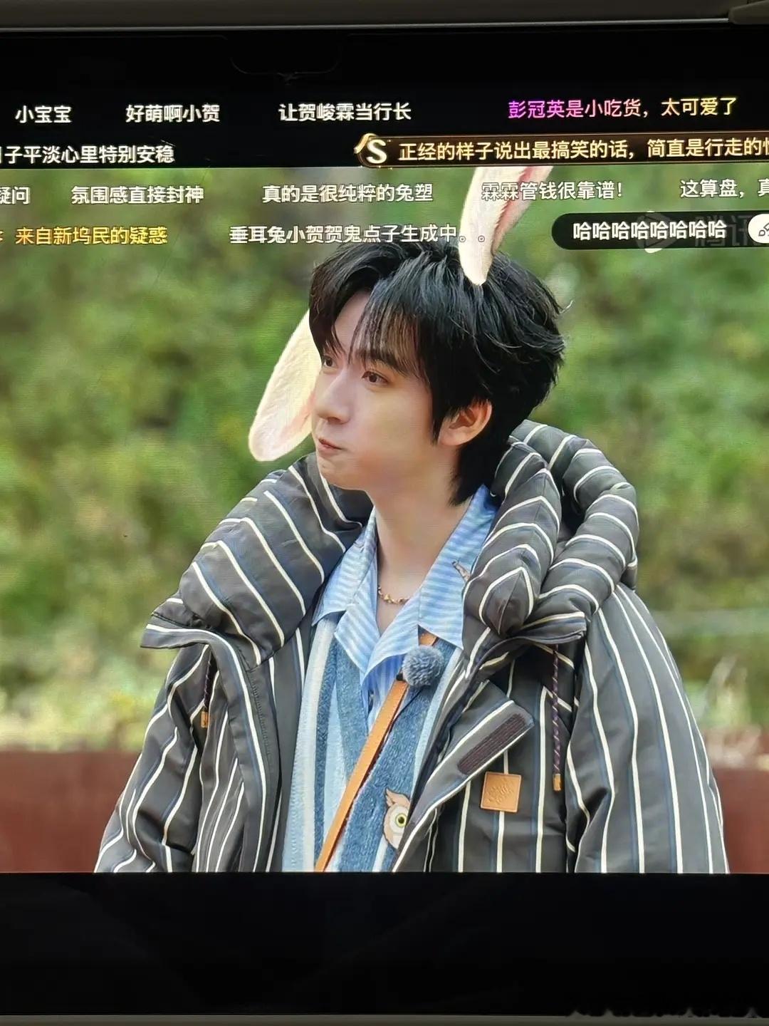投 这季桃花坞好宠小贺 整上了兔子特效 