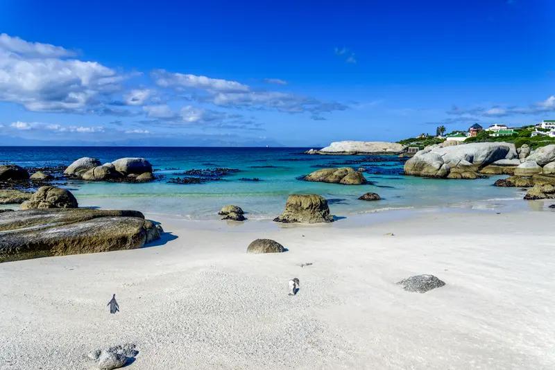 【特朗普为何与南非较劲，称南非不应在二十国集团中，并重申他不会出席本月晚些时候二