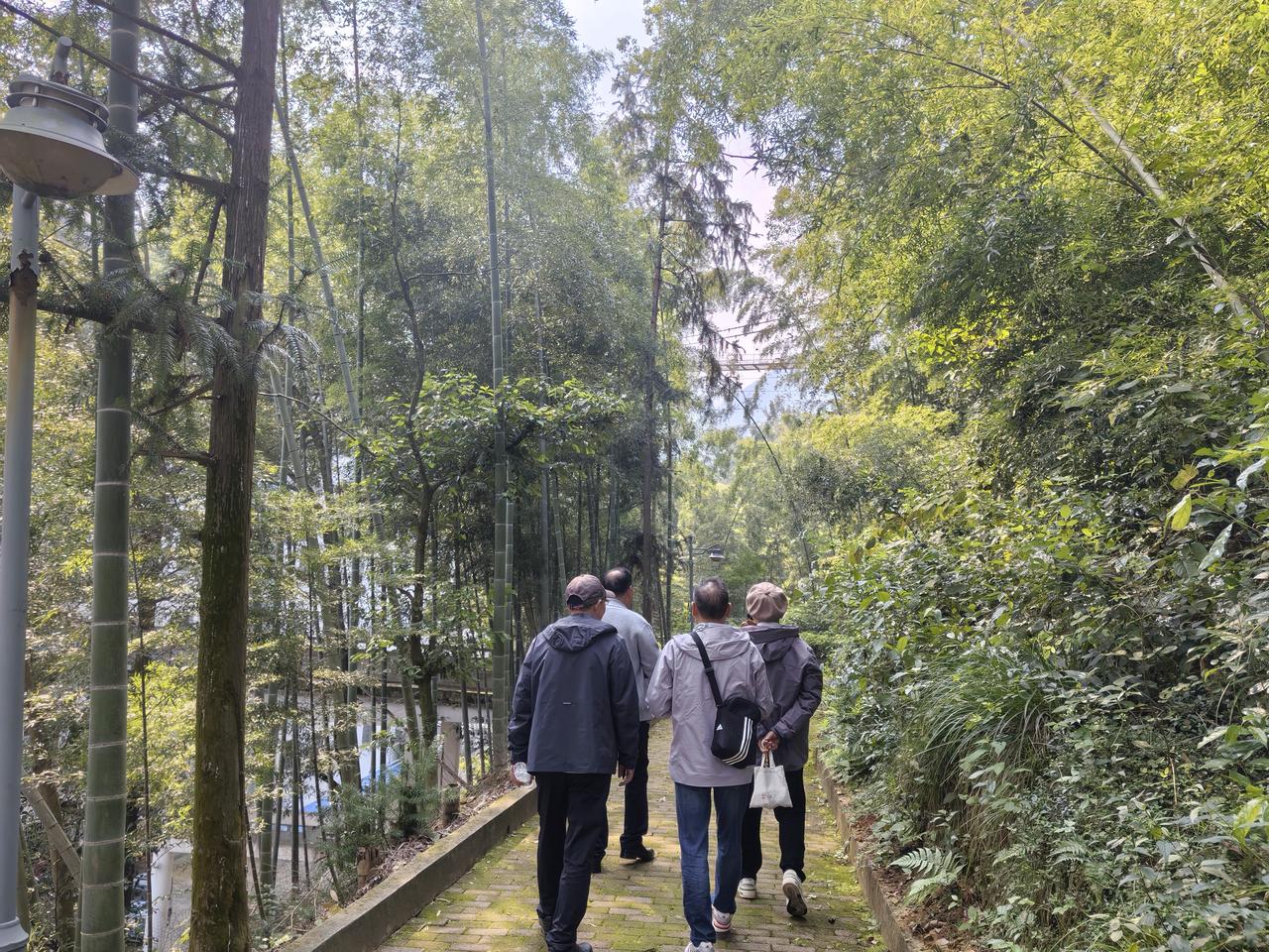 秋日生活打卡季 秋日真是个超棒的季节！就说乌鲁木齐的秋天，那景色美得就像一幅画，