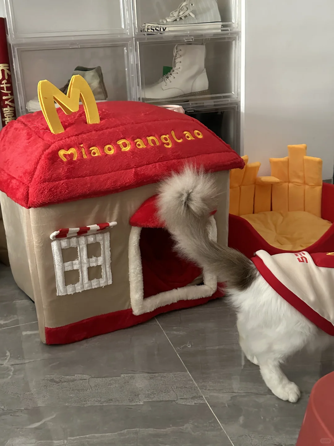 麦麦大哥！！可以🐱也要穿衣服呢！！