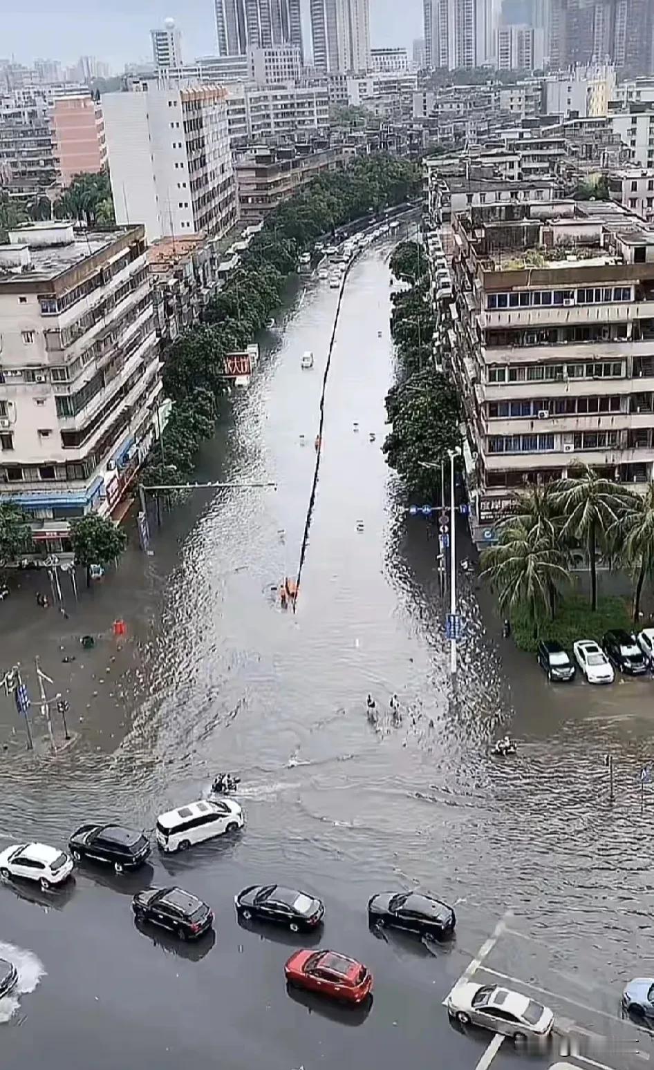 不要说十年一遇的雨，现在湛江市区的海滨大道南与霞山菉村路，基本上一月一遇的雨就让