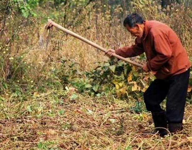 “天哪，这些全是黄金！”男人看着眼前的金条和“金镶玉”，巨大的欢喜笼罩着他，使得