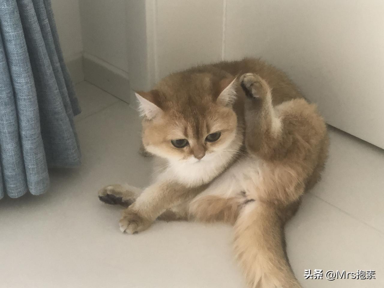 为儿子乔迁新居燎锅底，老家规矩讲究多

在老家盖新房搬新家要燎锅底，
讲究还是比