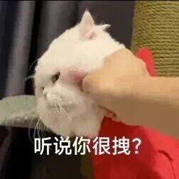 小咪表情包 ‖  咪百分百啃定你