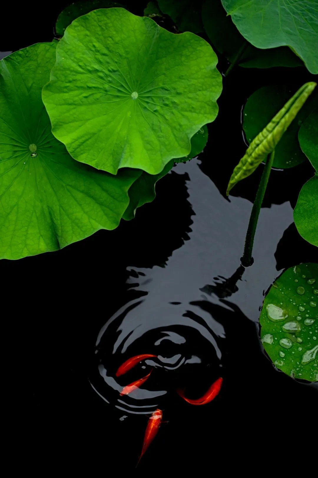 人生是减法，过一天就少一天，哪怕是你的仇人，你也是看一次会少一次，当然，我们的亲