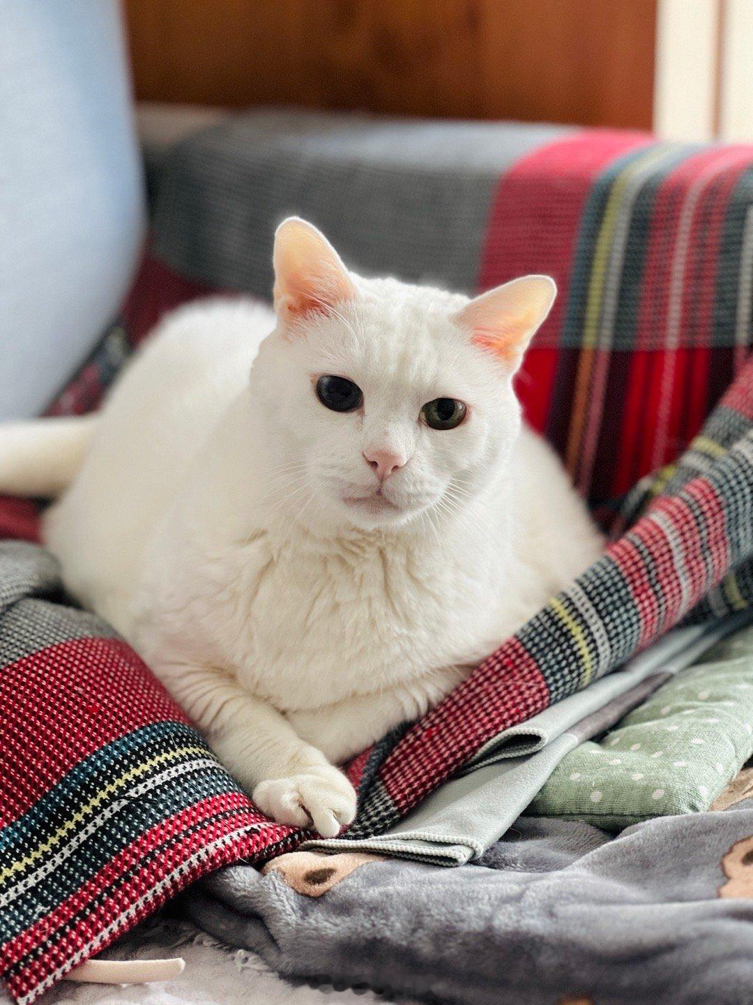 17歲的老寶，帥氣如奶昔～ 