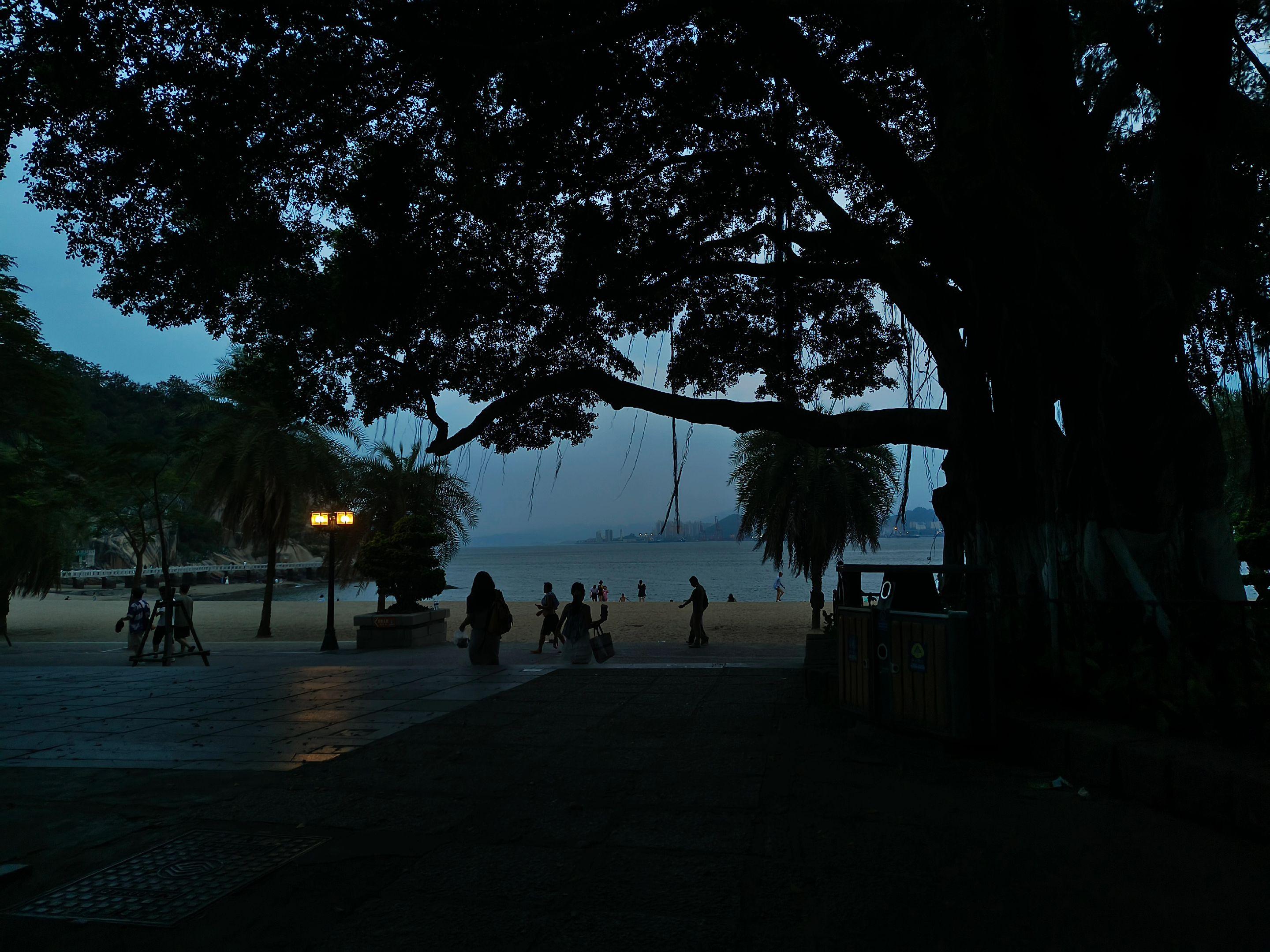 我也许还会去厦门看海 但我的十六岁不会了