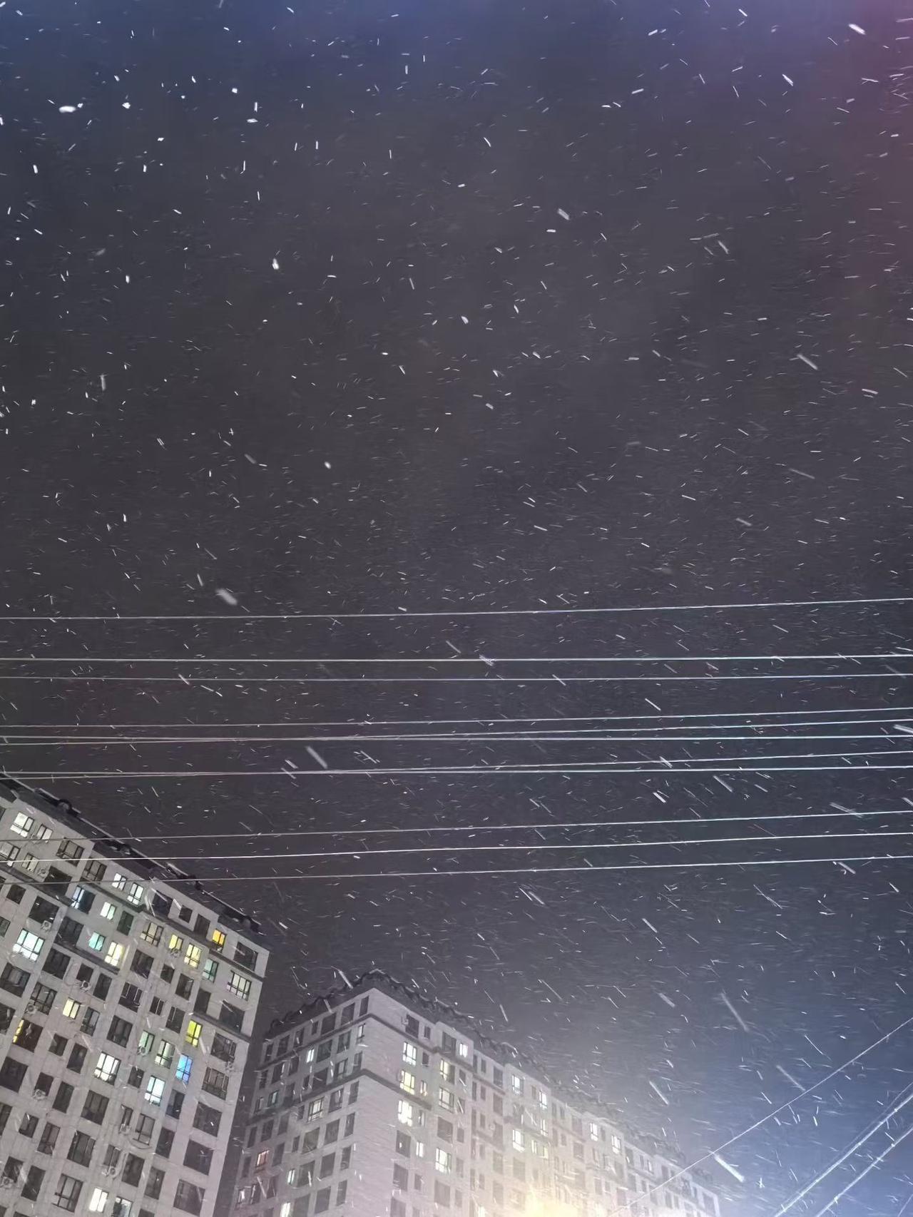 中午天空中飘起了雪花，到了下午下得是沸沸扬扬的。
没有午睡，赖在床上，刷头条。