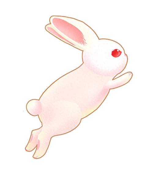 月满京师，饼承心意，喜乐常伴！