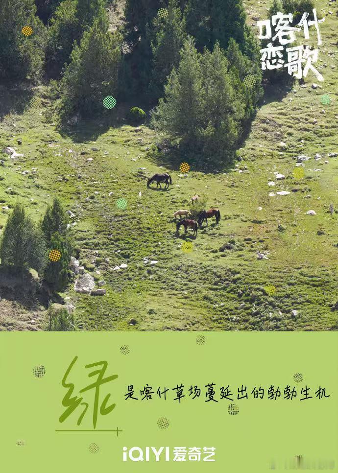 喀什恋歌溢出屏幕的生命力远赴人间惊鸿宴，一见喀什误终身！古城慢生活、草原清风、澄