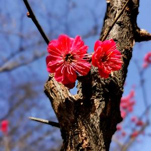 草原骏马爱分享