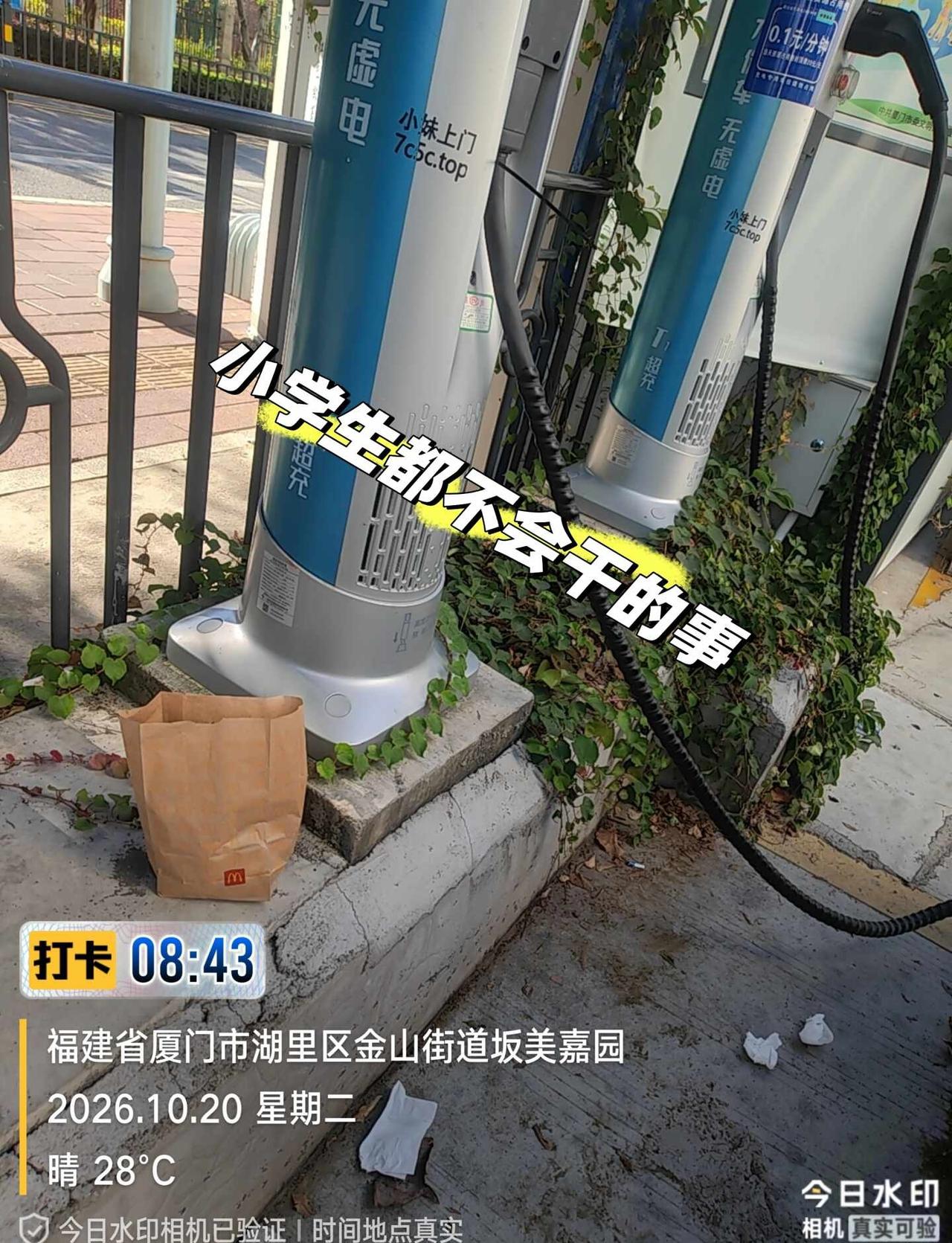 是不是开油车的不会乱堆垃圾
电车电车推荐 电车素质大赏 开车 电车和油车 给自己