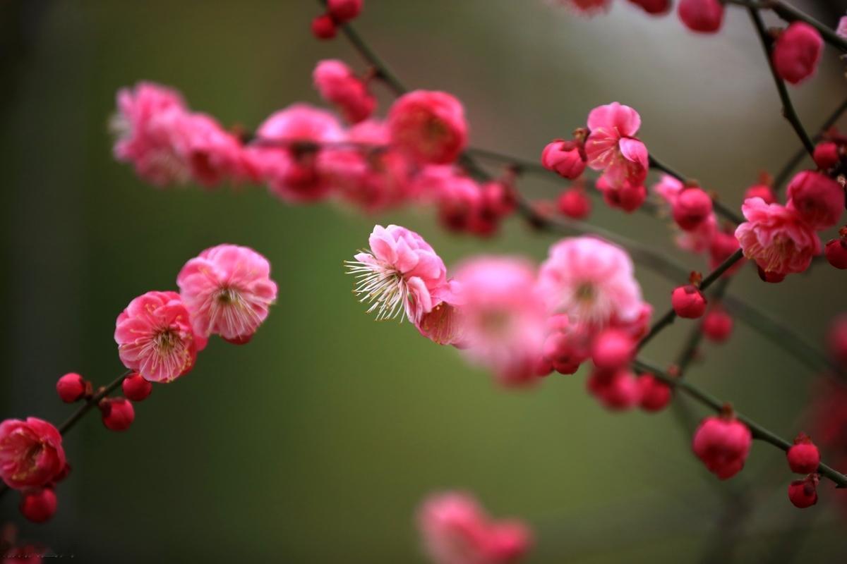 那种喜欢，或许一生也就只能那么一次了。从遇见到诀别，人生如此奇妙地默默谱写着悲欢