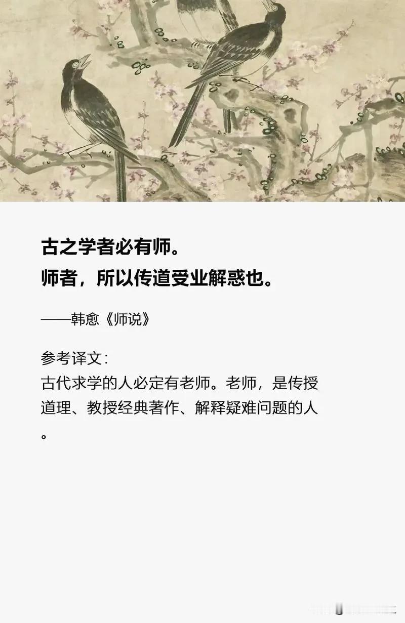 跌宕起伏 ，妙趣横生的故事融入了谷老师教书育人的思想和导向。

这是智慧的启迪，