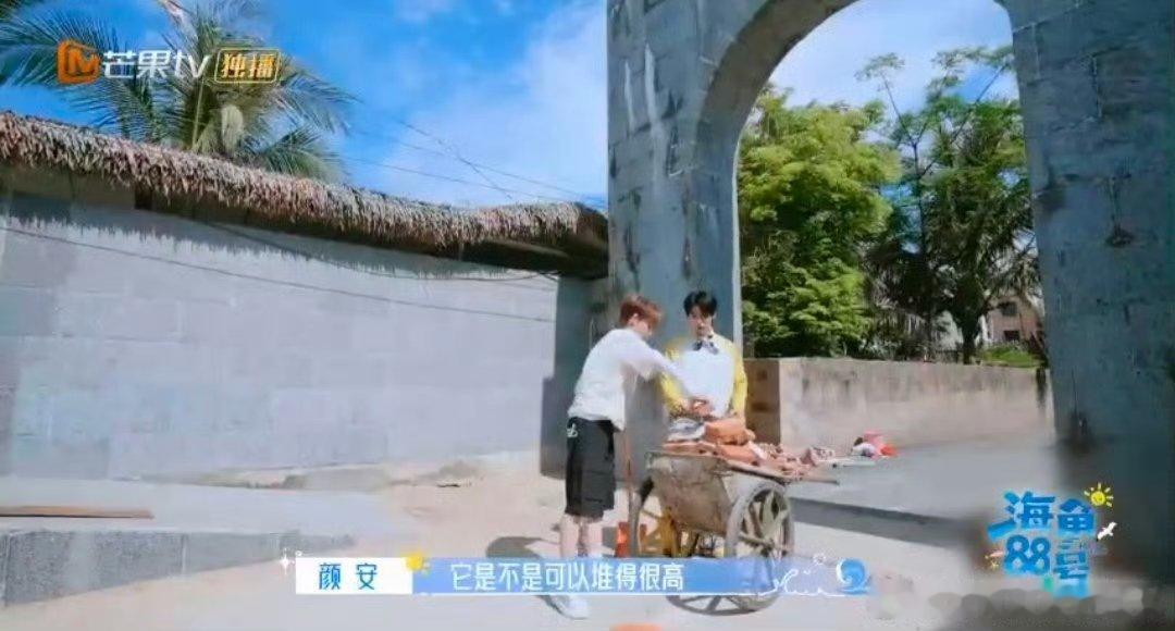 颜安余宇涵抽象派搬砖 搬砖界的抽象艺术家非他俩莫属！砖块在手上晃出残影，全凭一口