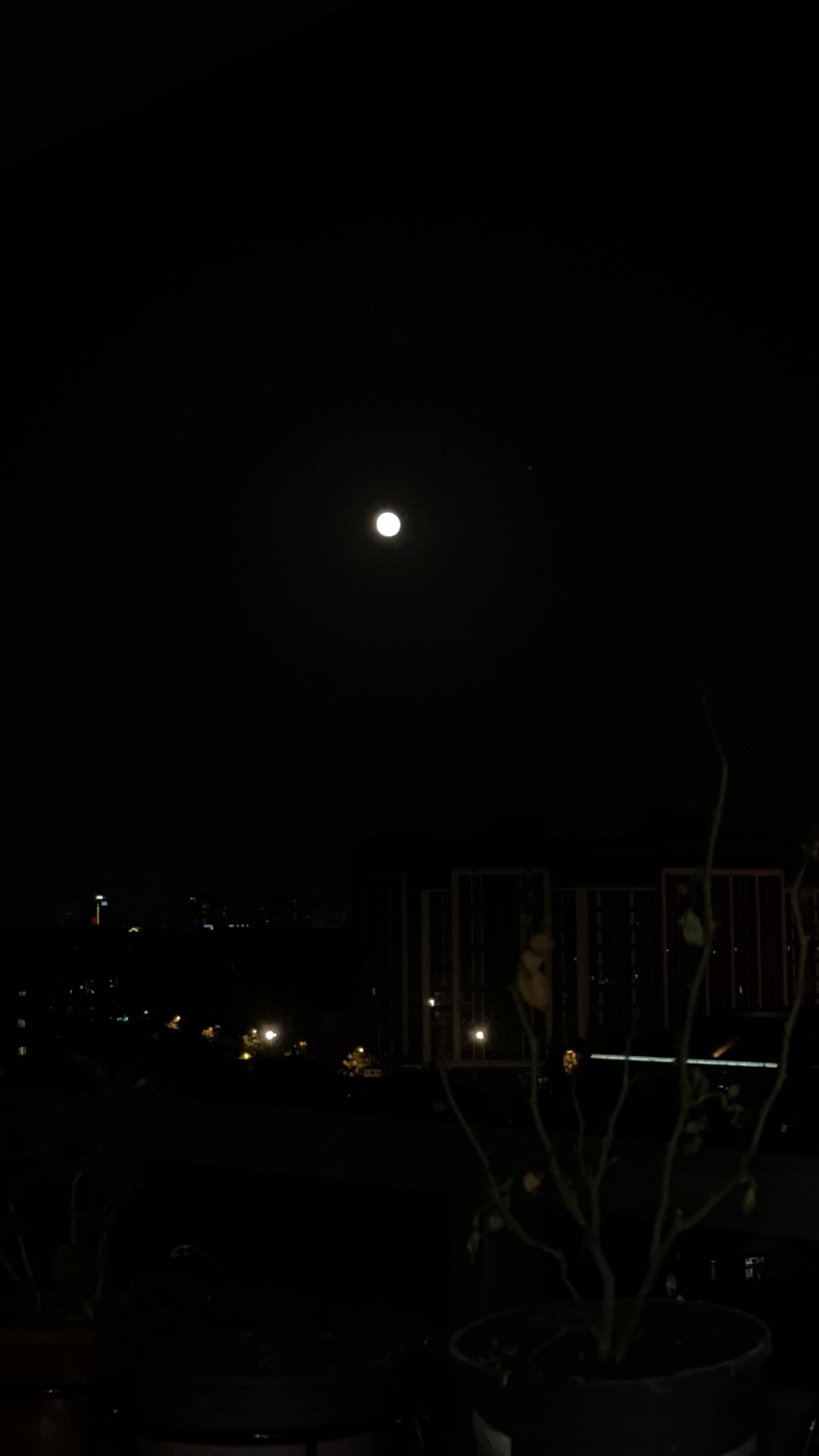 将彻底颠覆你想像的悬疑好文。《低智商犯罪》作者: 紫金陈 芭莳圈 凌恰...