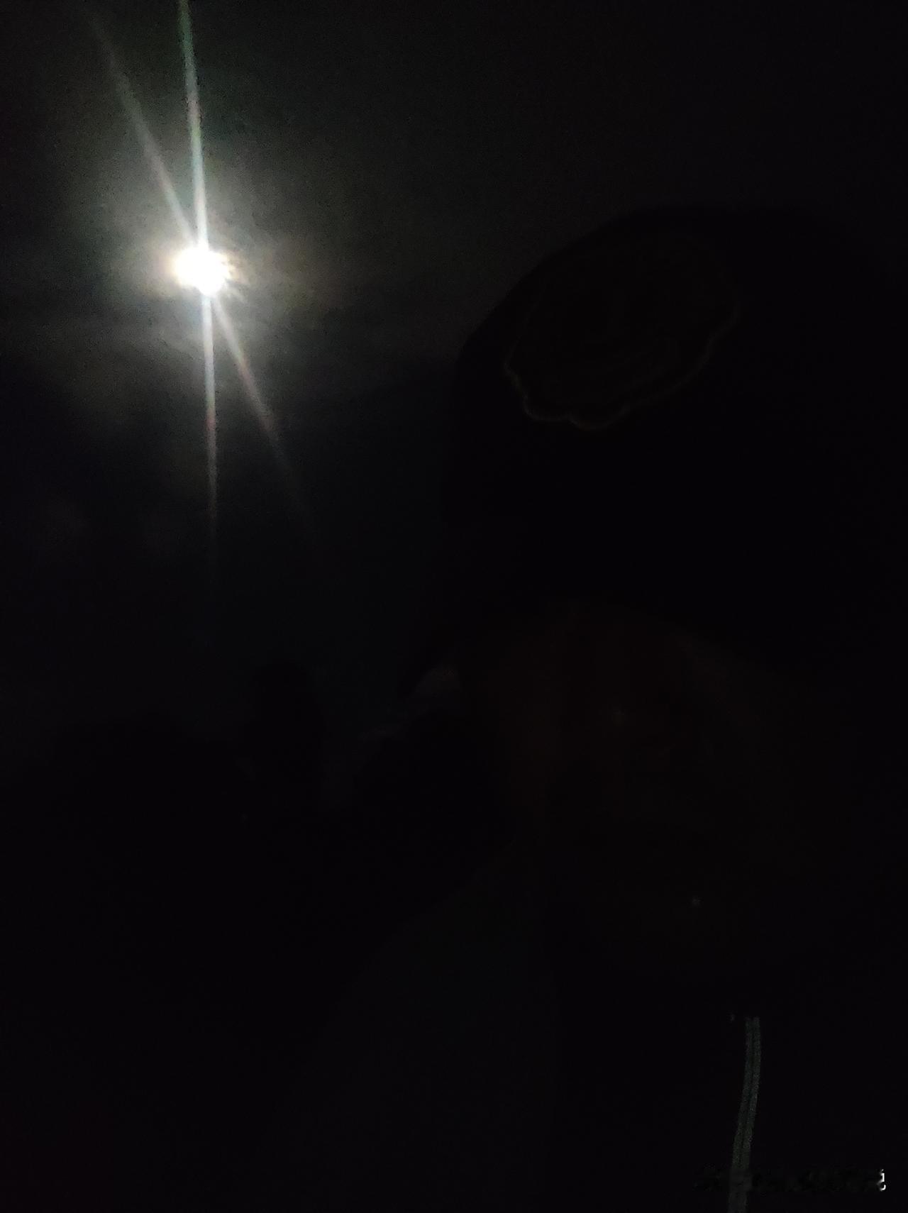 凌晨五点不到，出来干活，地里面小蚊子还特别多，服了！！！呵呵！

花生，🥜，这