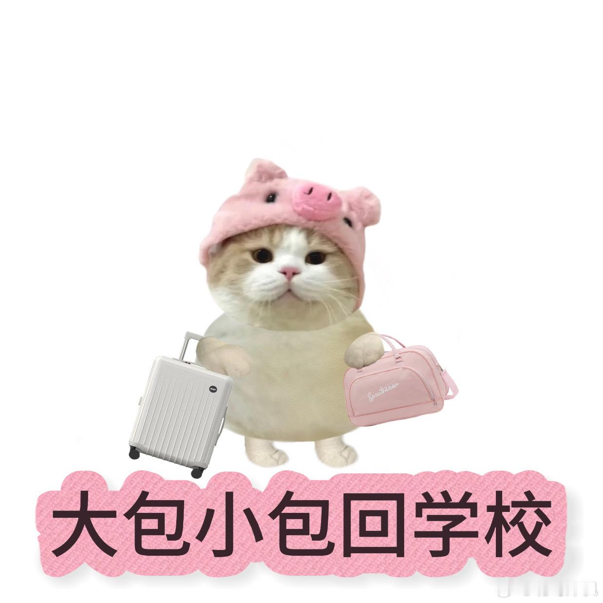 上淘宝享超级学生价开学攻略刷了无数篇，摆在我面前最大的难题就是，一大堆心仪的开学