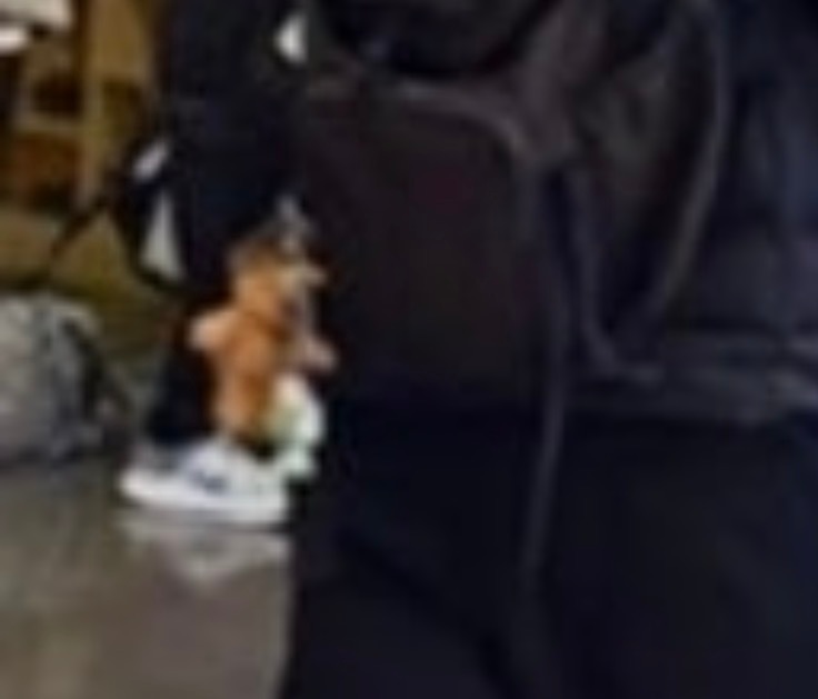 小熊+无臂巴斯光年=汪顺的防伪标识