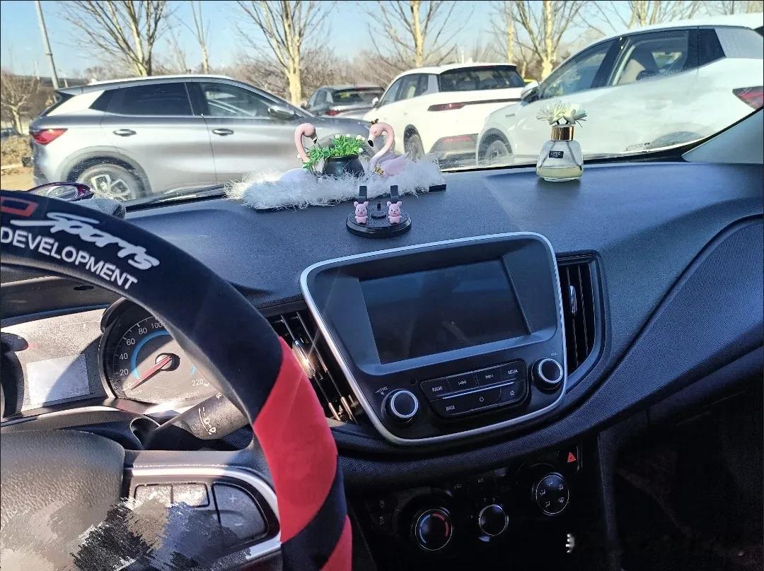 #春日生活打卡季#今天出去洗车花30元，打个蜡花了50元，真心疼太贵了！再也不出