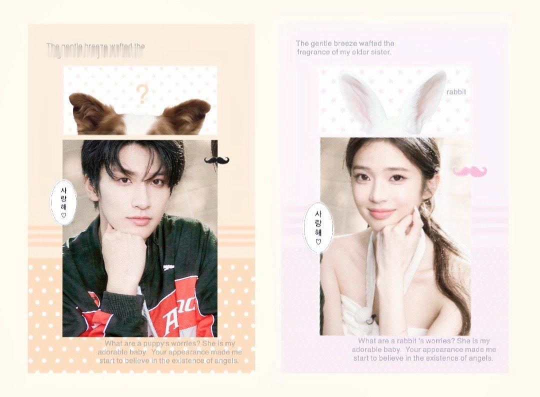 馨何cp 馨何cp 🐰🐶