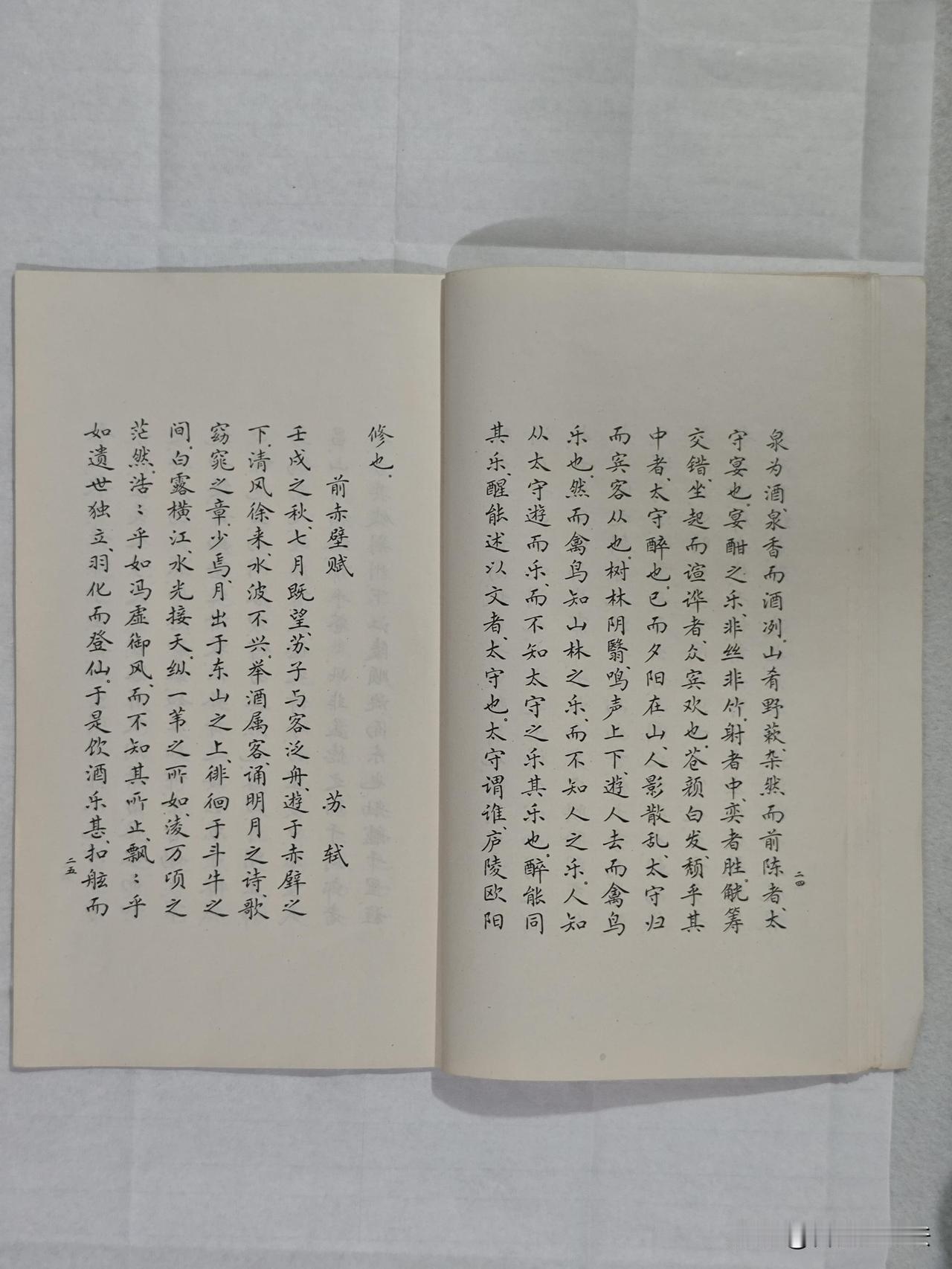 小楷抄录千古名篇，笔墨之间尽见文气。
《岳阳楼记》《醉翁亭记》《阿房宫赋》《祭十