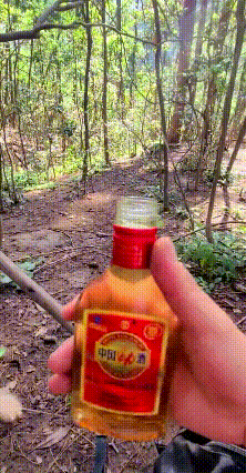 这邪魅一笑
真像我的某个老朋友