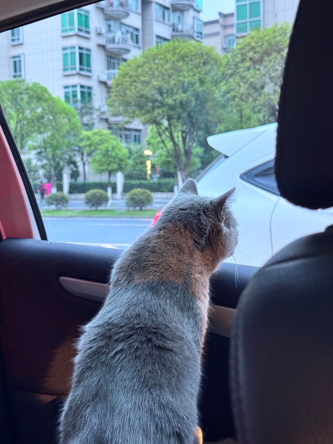 为了我的宝宝 先回了江西[泪][泪]明天再回长沙 ​​​