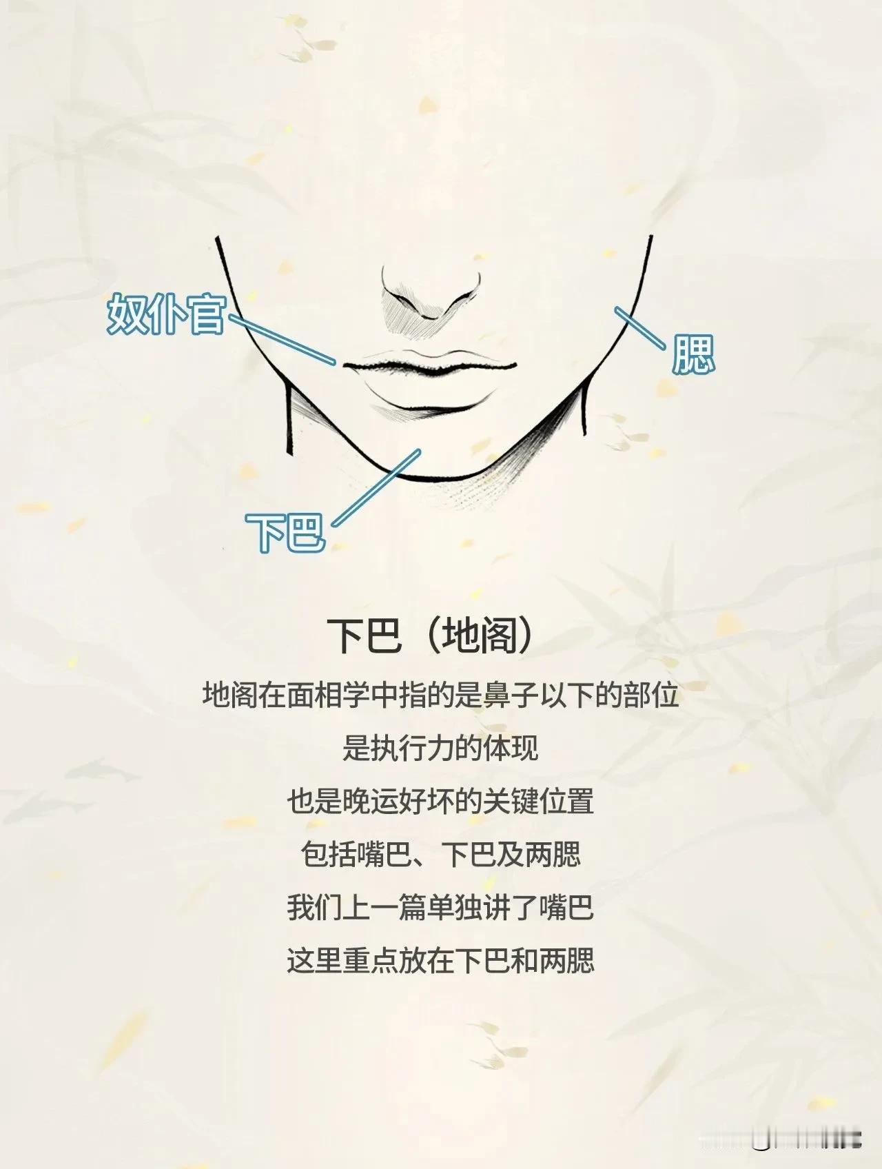 #人为何如此忙碌# 学点面相知识：人中过短，下巴短小，两者都表现突出的话，这种人