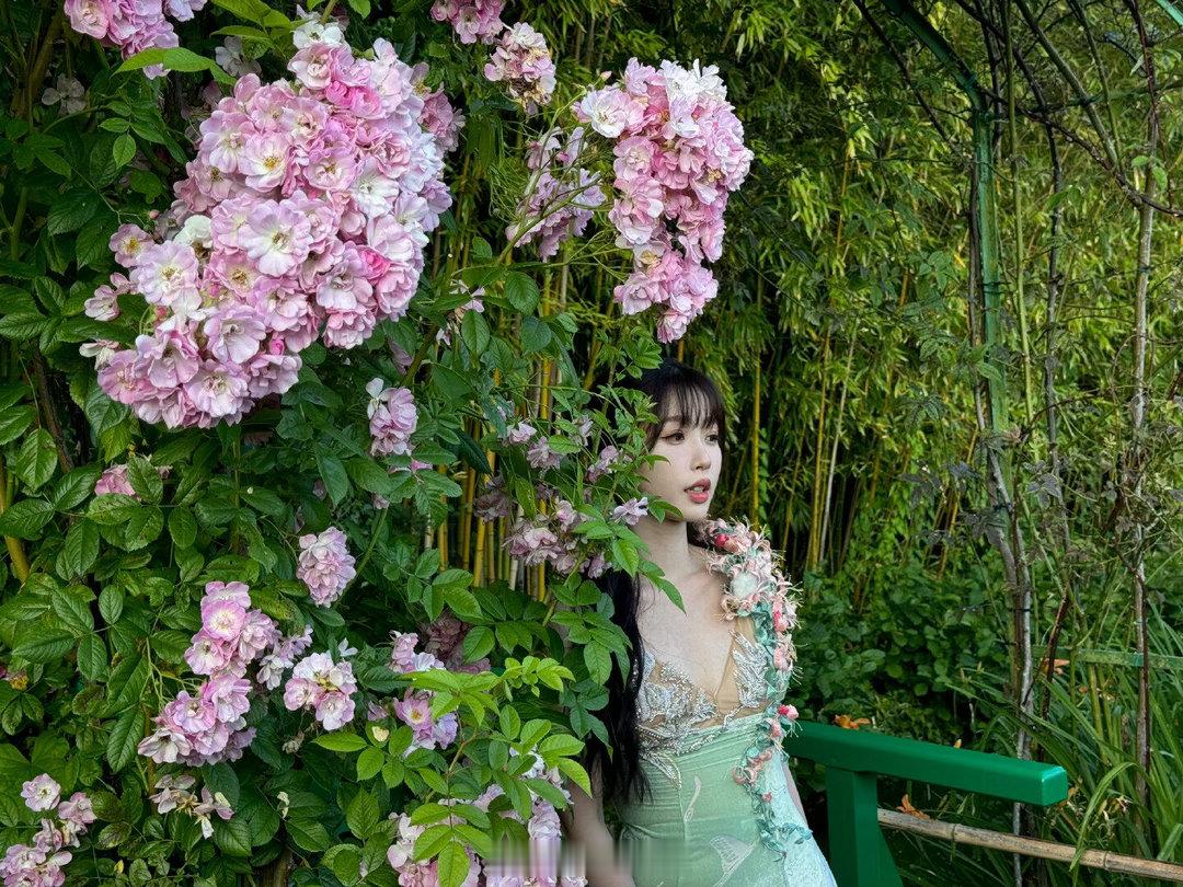 花瓣雨里的虞书欣 她站在花瓣里抬头笑的样子确实很温暖，那个画面确实很有记忆点，很