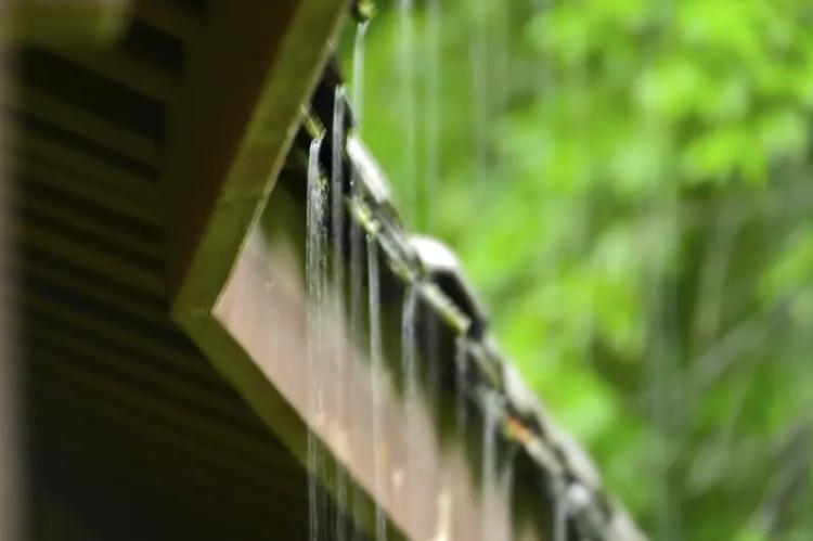 命运如天定亦如己造

雨线斜织，灰檐垂珠。人说命运如这雨滴——来时云端已定，坠处