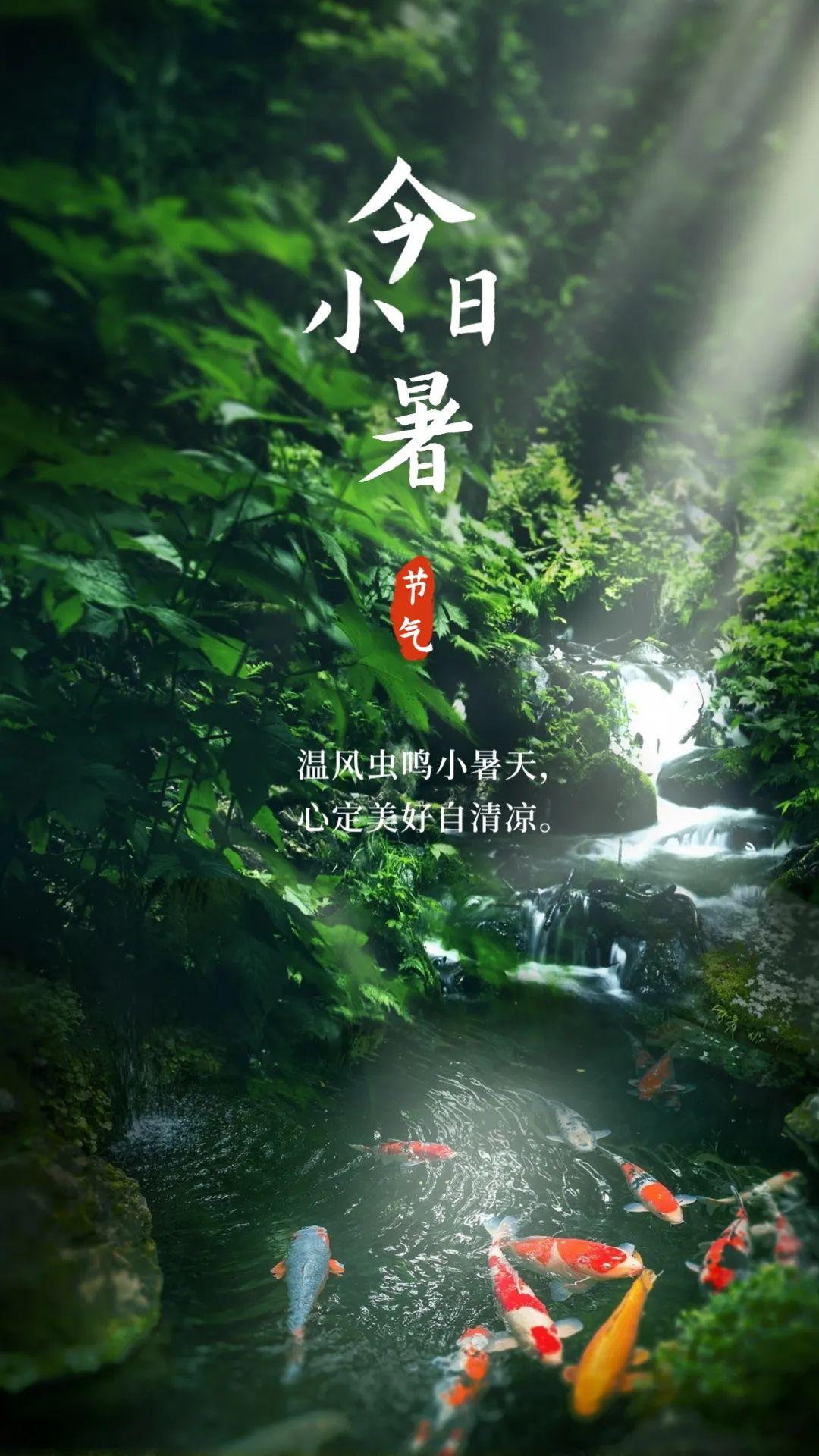 小暑至，听虫鸣观锦鲤，心静自然凉。这份清凉与治愈，请查收！
记录美好的图片