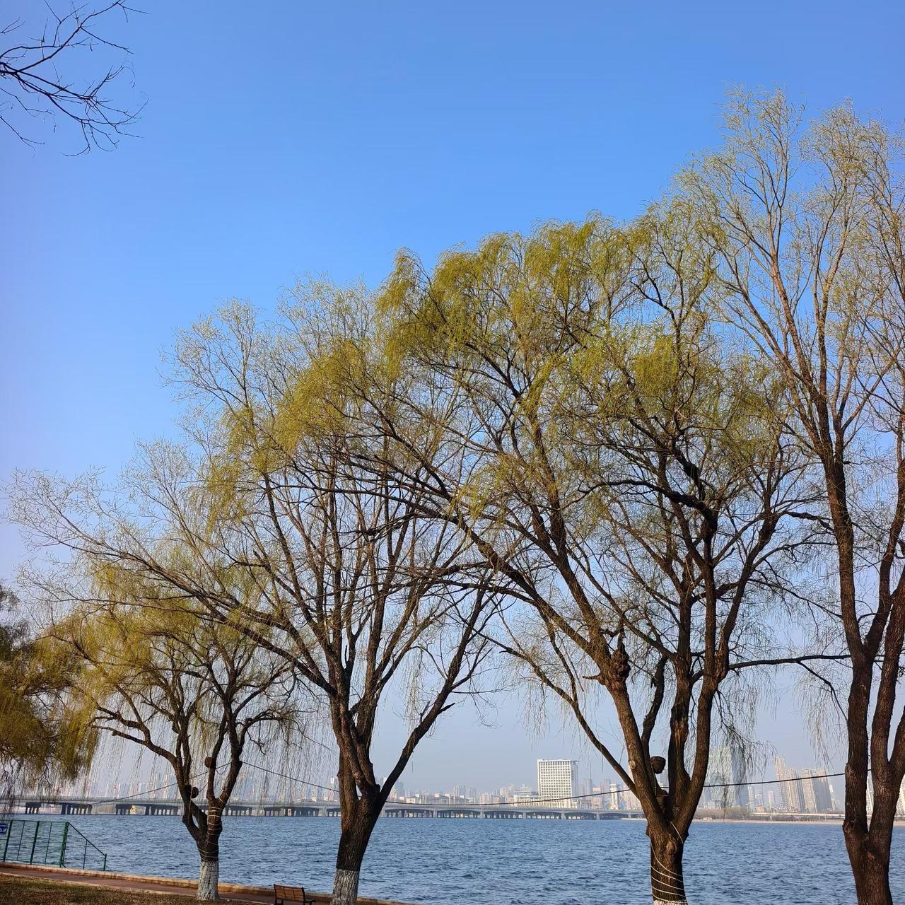 世人难享百岁寿，胸中常存万种愁。
夜长灯明难成寐，黎明轻霜染白头。
五十名利两不