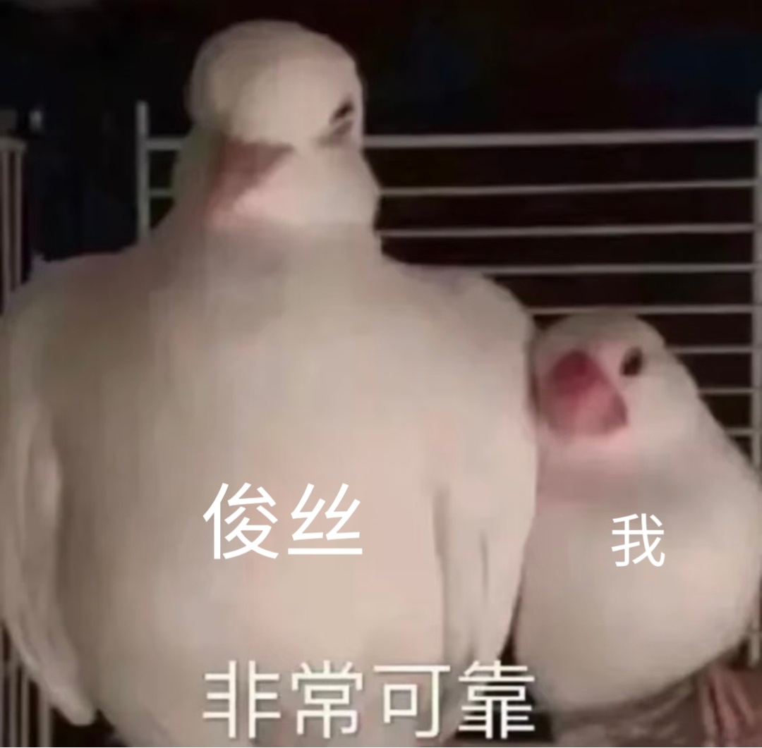 小耗超话发帖区随便求个评没几秒就满20。俊丝大小姐们真的特别可靠每个群都在热火朝