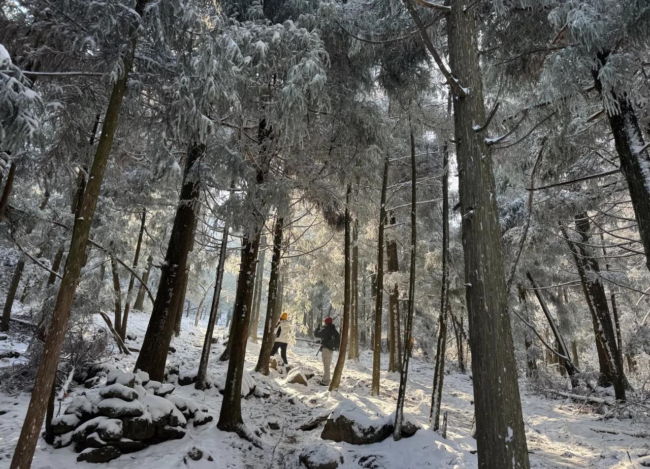 那么近那么远，元旦到杏梅尖
杏梅尖简直是冰雪大世界，巨好玩巨好玩，大家都来玩儿！