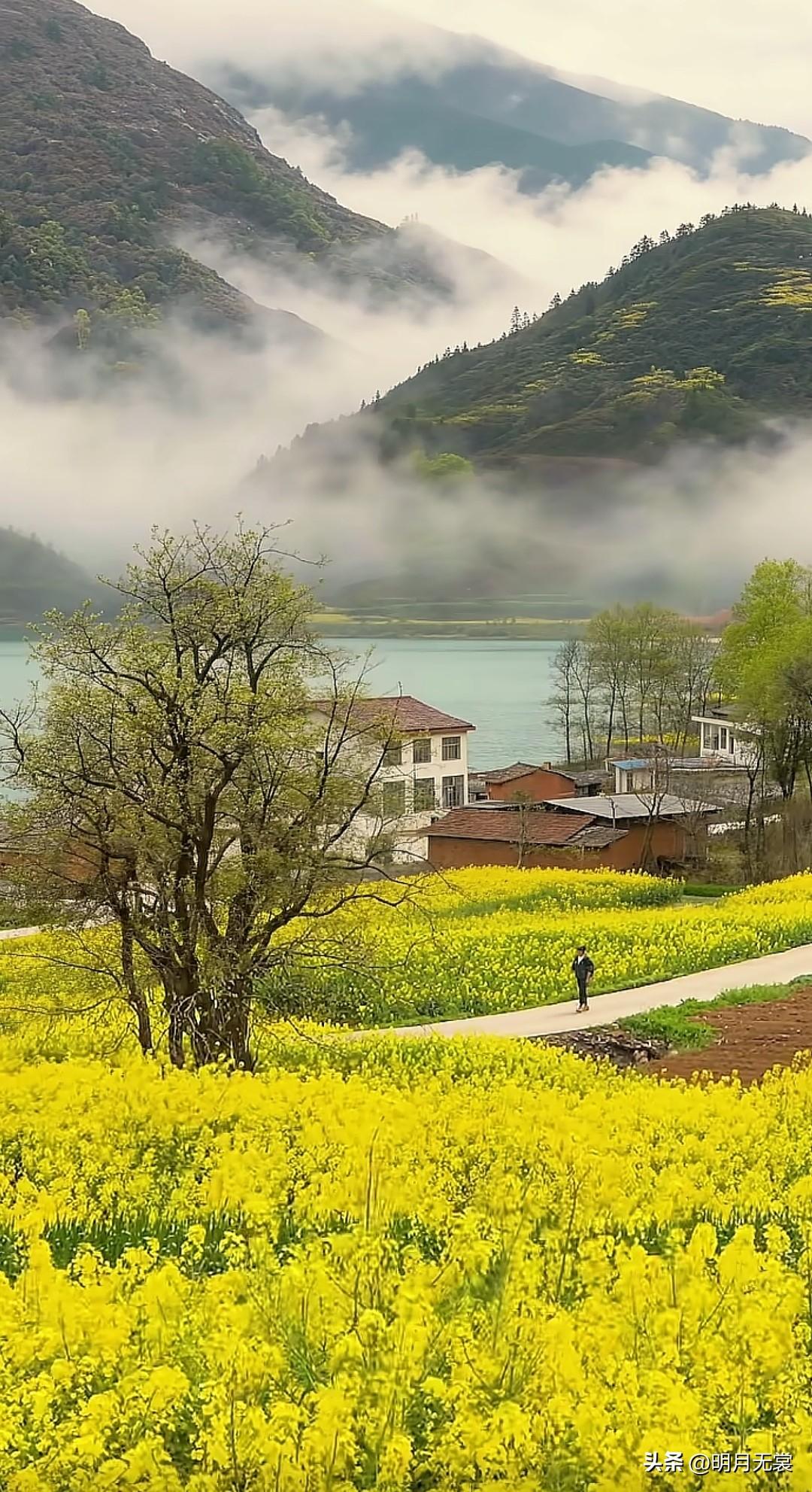 新年爱好打卡晒出相册里最好看的风景照 分享你相册的春天