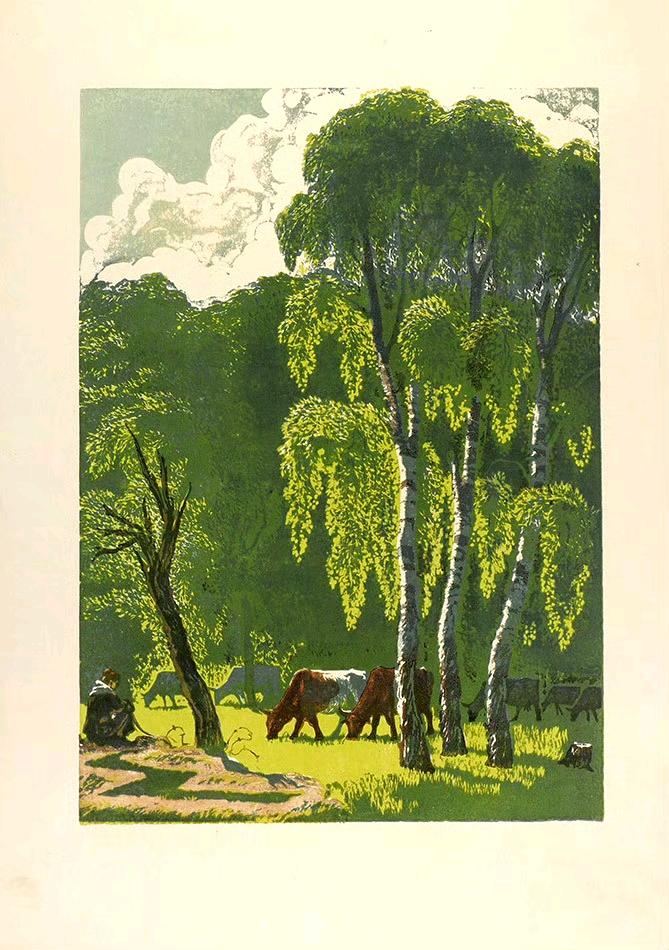 属于夏天的颜色
Nikolai Piskaryov ​​​