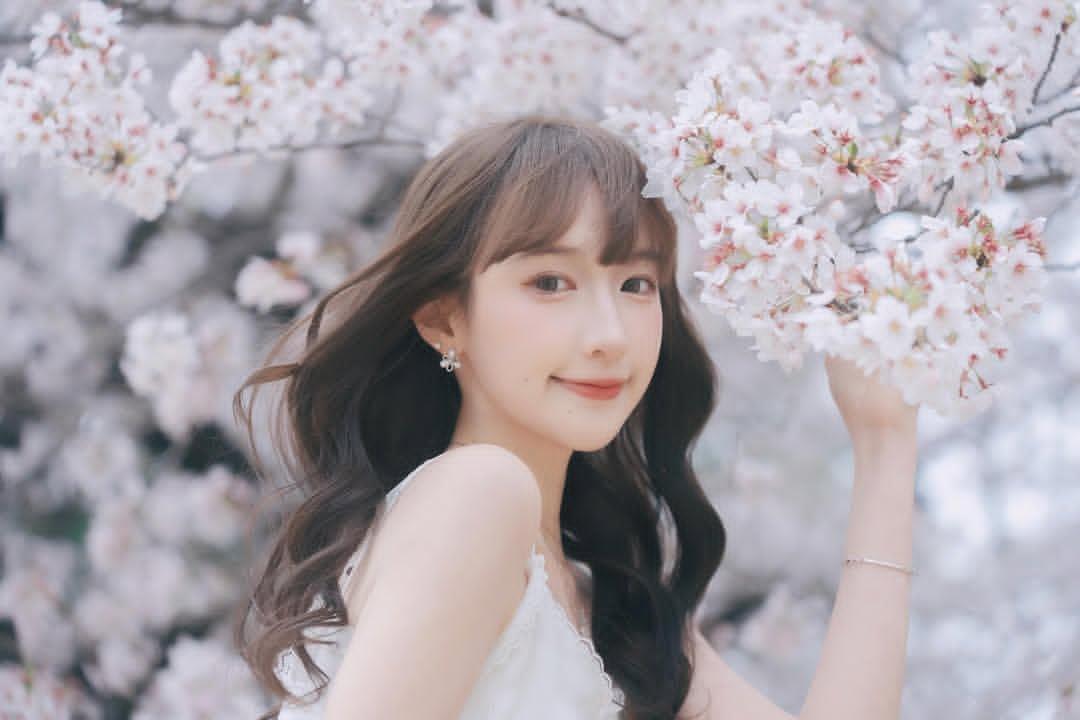 我手机里的海棠花图片，每一张都美得像画一样。有一次我去公园，被那满树的海棠花吸引