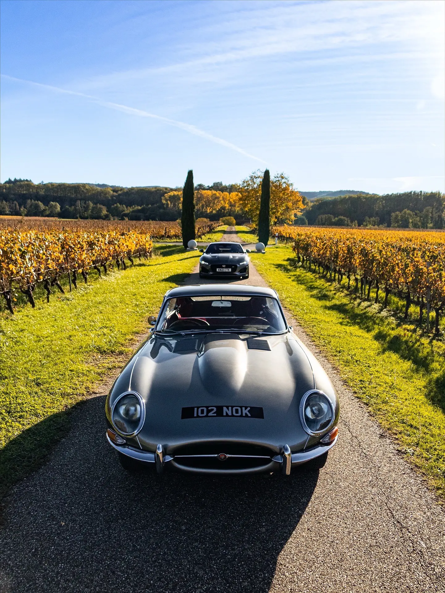 恩佐・法拉利毫不吝啬地赞美它为 “世界上最美的汽车。  捷豹 E-TY...