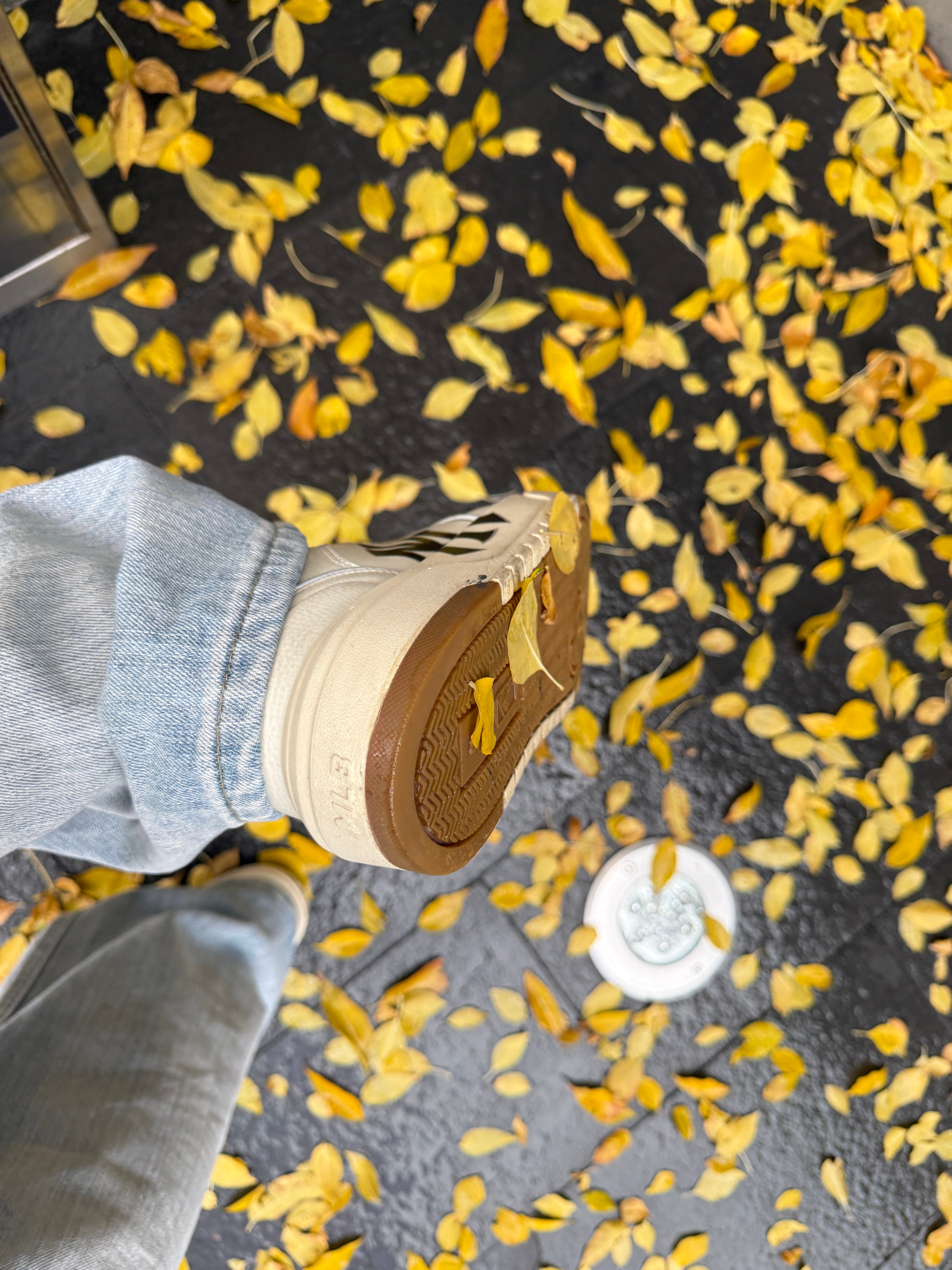 刮完风下过雨  北京的秋天就要结束了 