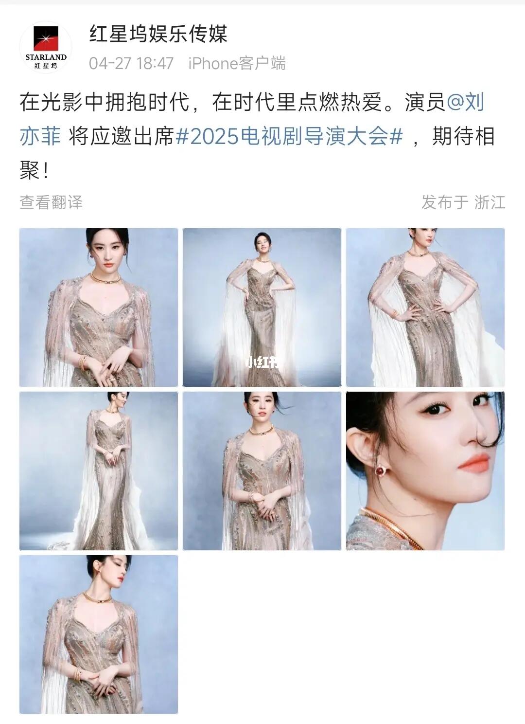 刘亦菲导协活动出图
