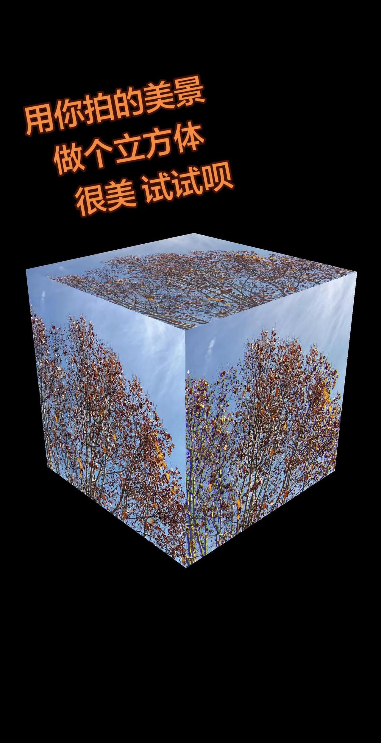 用你拍的美景，做个立方体，很美的，试试呗！抬头看天空能治愈一切 树是大地写给天空