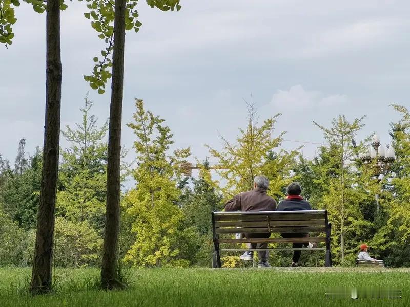 一位退休老人非常现实的话：
“退休后才明白的人间真相：什么天伦之乐、儿孙满堂，不